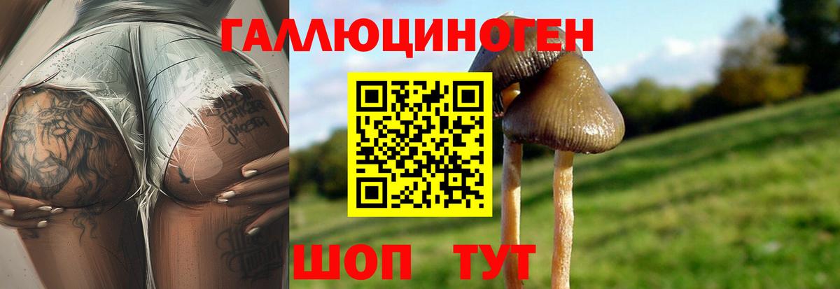 Галлюциногенные грибы прущие грибы Гусь-Хрустальный